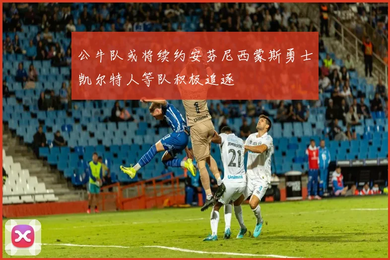 公牛队或将续约安芬尼西蒙斯勇士凯尔特人等队积极追逐